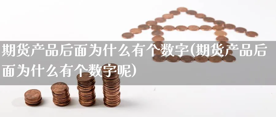 期货产品后面为什么有个数字(期货产品后面为什么有个数字呢)_https://www.ccsxhkc.com_贸易逆差_第1张