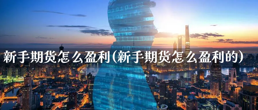 新手期货怎么盈利(新手期货怎么盈利的)_https://www.ccsxhkc.com_商业模式_第1张