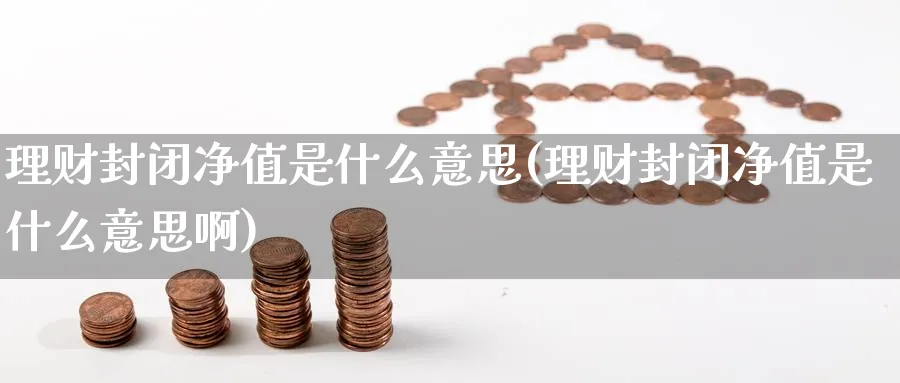 理财封闭净值是什么意思(理财封闭净值是什么意思啊)_https://www.ccsxhkc.com_财经资讯_第1张