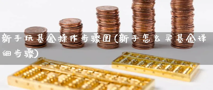 新手玩基金操作步骤图(新手怎么买基金详细步骤)_https://www.ccsxhkc.com_银行理财_第1张