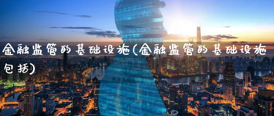 金融监管的基础设施(金融监管的基础设施包括)_https://www.ccsxhkc.com_金融监管_第1张