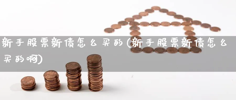 新手股票新债怎么买的(新手股票新债怎么买的啊)_https://www.ccsxhkc.com_贸易顺差_第1张