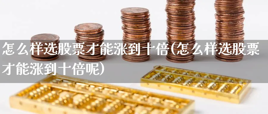 怎么样选股票才能涨到十倍(怎么样选股票才能涨到十倍呢)_https://www.ccsxhkc.com_金融监管_第1张