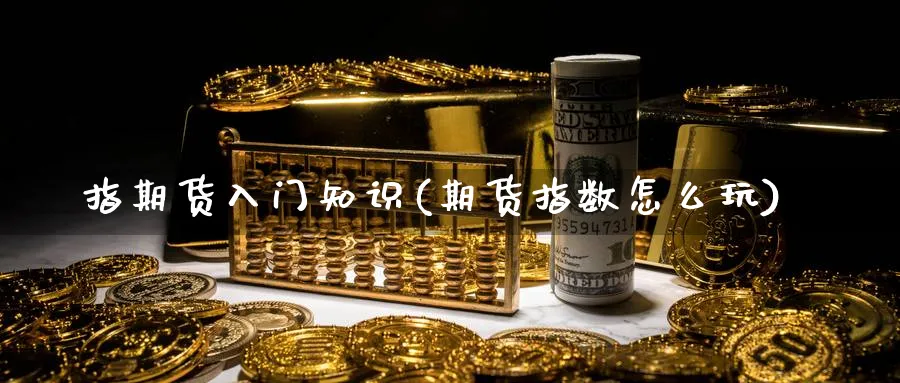 指期货入门知识(期货指数怎么玩)_https://www.ccsxhkc.com_贸易顺差_第1张