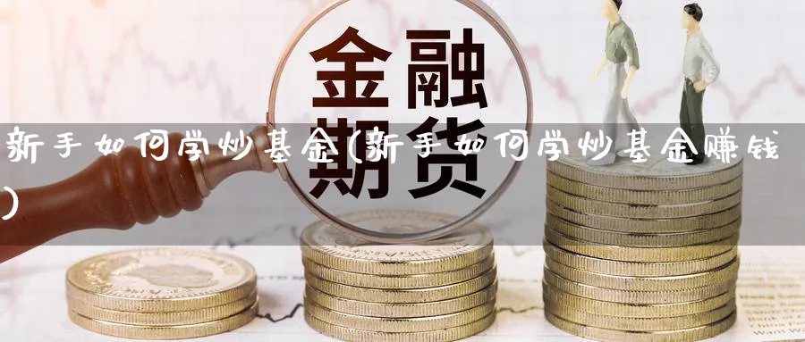 新手如何学炒基金(新手如何学炒基金赚钱)_https://www.ccsxhkc.com_金融监管_第1张