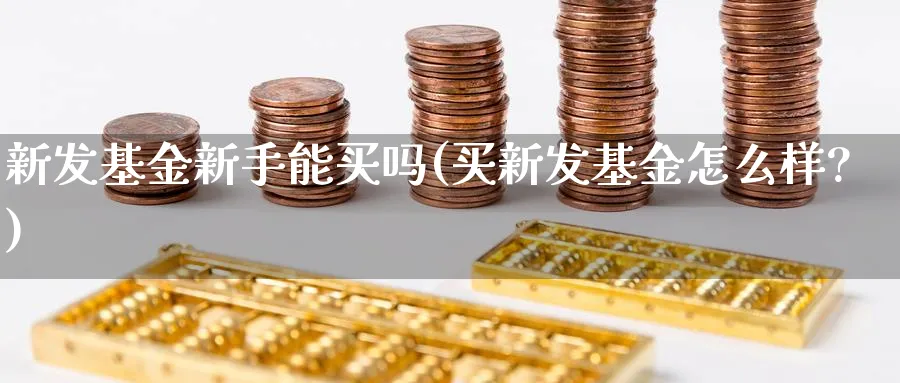 新发基金新手能买吗(买新发基金怎么样?)_https://www.ccsxhkc.com_金融监管_第1张