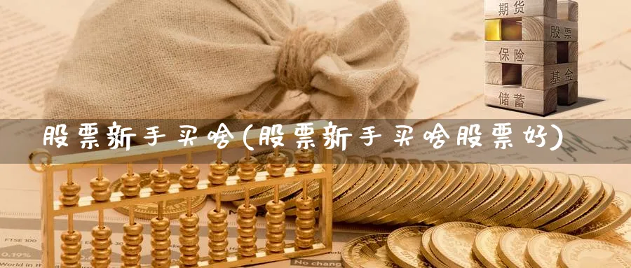 股票新手买啥(股票新手买啥股票好)_https://www.ccsxhkc.com_贸易顺差_第1张