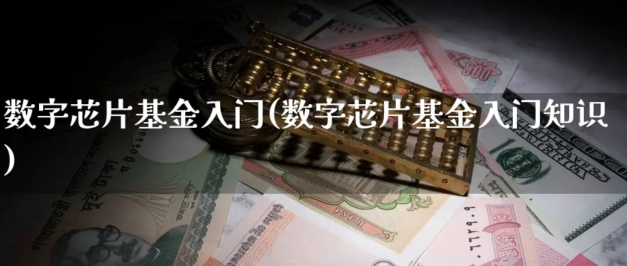 数字芯片基金入门(数字芯片基金入门知识)_https://www.ccsxhkc.com_基金投资_第1张