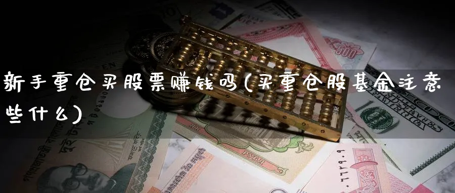 新手重仓买股票赚钱吗(买重仓股基金注意些什么)_https://www.ccsxhkc.com_银行理财_第1张