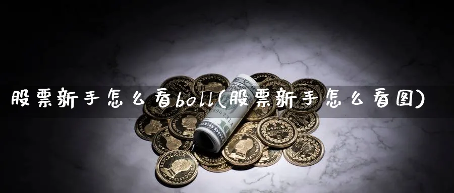 股票新手怎么看boll(股票新手怎么看图)_https://www.ccsxhkc.com_基金投资_第1张