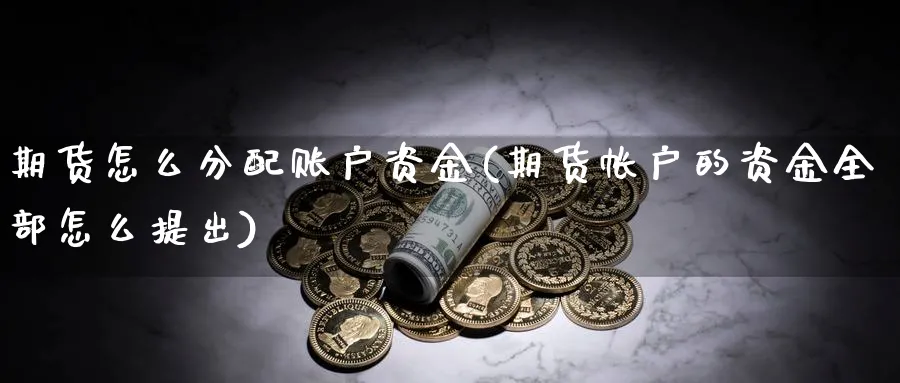 期货怎么分配账户资金(期货帐户的资金全部怎么提出)_https://www.ccsxhkc.com_贸易平衡_第1张