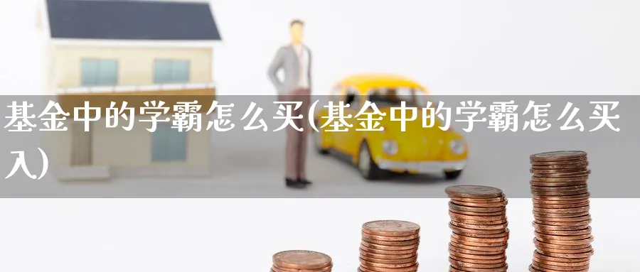 基金中的学霸怎么买(基金中的学霸怎么买入)_https://www.ccsxhkc.com_金融安全_第1张