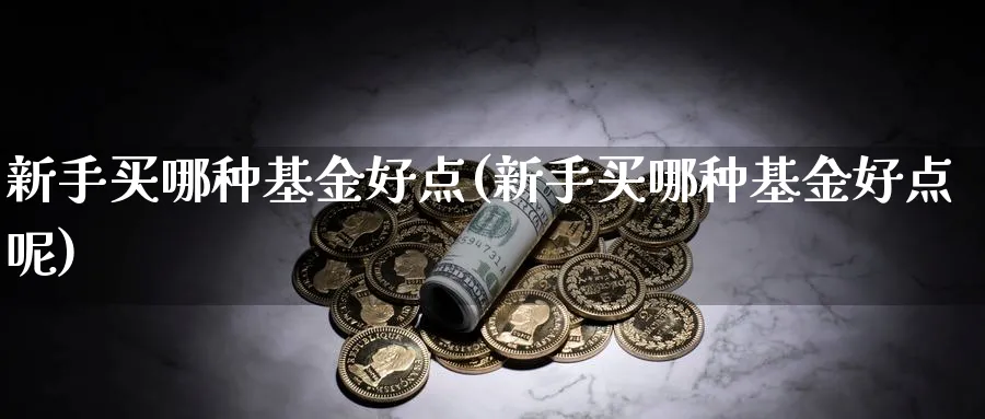 新手买哪种基金好点(新手买哪种基金好点呢)_https://www.ccsxhkc.com_金融监管_第1张