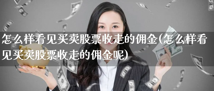 怎么样看见买卖股票收走的佣金(怎么样看见买卖股票收走的佣金呢)_https://www.ccsxhkc.com_商业模式_第1张