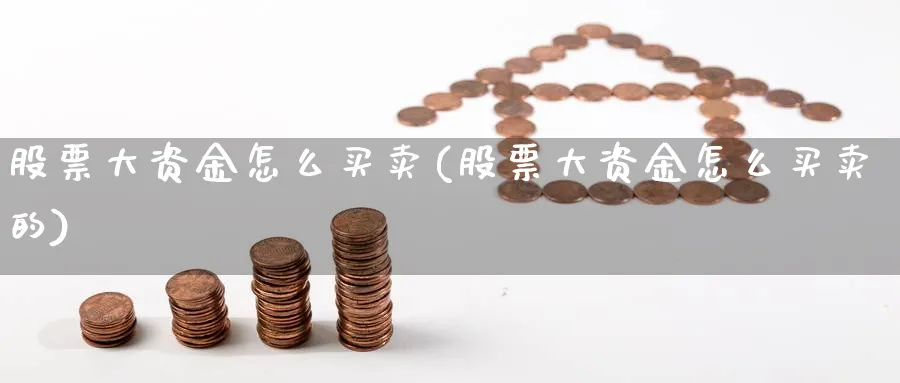 股票大资金怎么买卖(股票大资金怎么买卖的)_https://www.ccsxhkc.com_基金投资_第1张