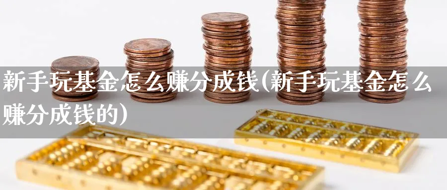 新手玩基金怎么赚分成钱(新手玩基金怎么赚分成钱的)_https://www.ccsxhkc.com_商业模式_第1张