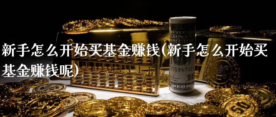 新手怎么开始买基金赚钱(新手怎么开始买基金赚钱呢)_https://www.ccsxhkc.com_金融监管_第1张