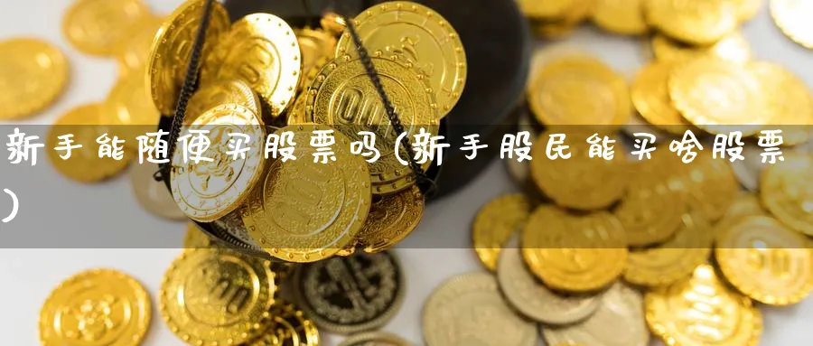 新手能随便买股票吗(新手股民能买啥股票)_https://www.ccsxhkc.com_商业模式_第1张