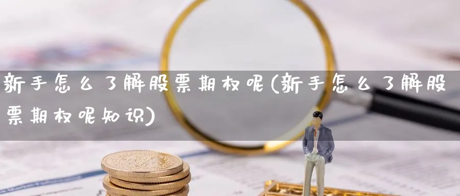 新手怎么了解股票期权呢(新手怎么了解股票期权呢知识)_https://www.ccsxhkc.com_贸易顺差_第1张