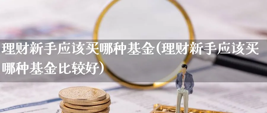 理财新手应该买哪种基金(理财新手应该买哪种基金比较好)_https://www.ccsxhkc.com_贸易顺差_第1张