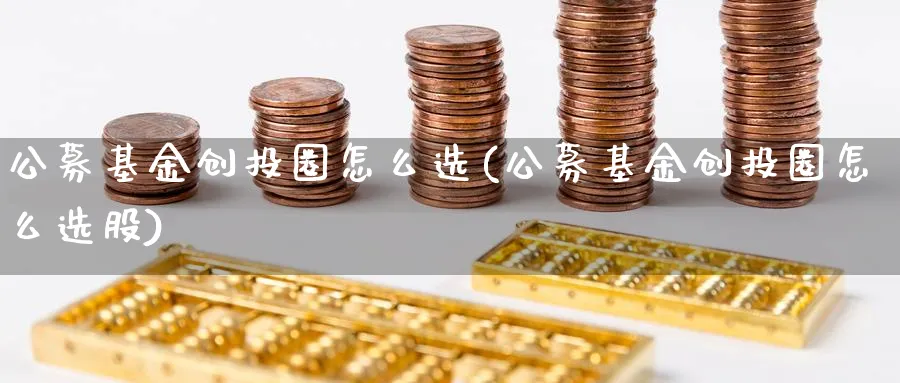 公募基金创投圈怎么选(公募基金创投圈怎么选股)_https://www.ccsxhkc.com_贸易顺差_第1张