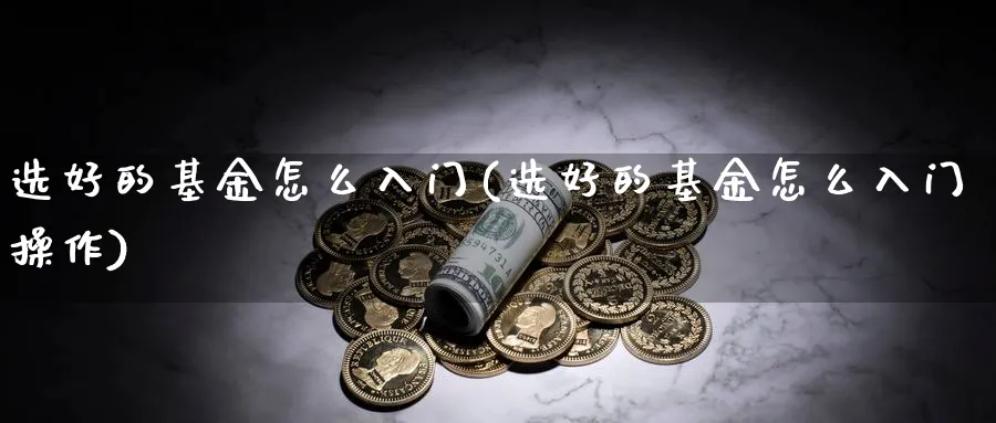 选好的基金怎么入门(选好的基金怎么入门操作)_https://www.ccsxhkc.com_商业模式_第1张