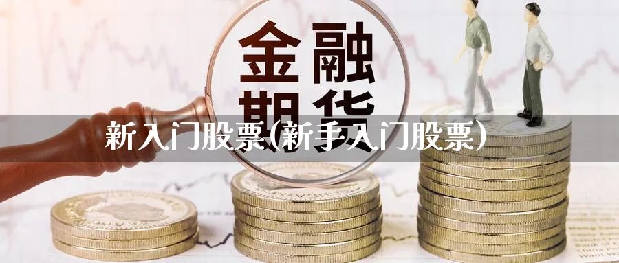 新入门股票(新手入门股票)_https://www.ccsxhkc.com_贸易顺差_第1张