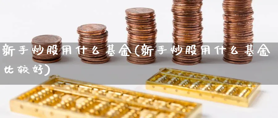 新手炒股用什么基金(新手炒股用什么基金比较好)_https://www.ccsxhkc.com_贸易顺差_第1张