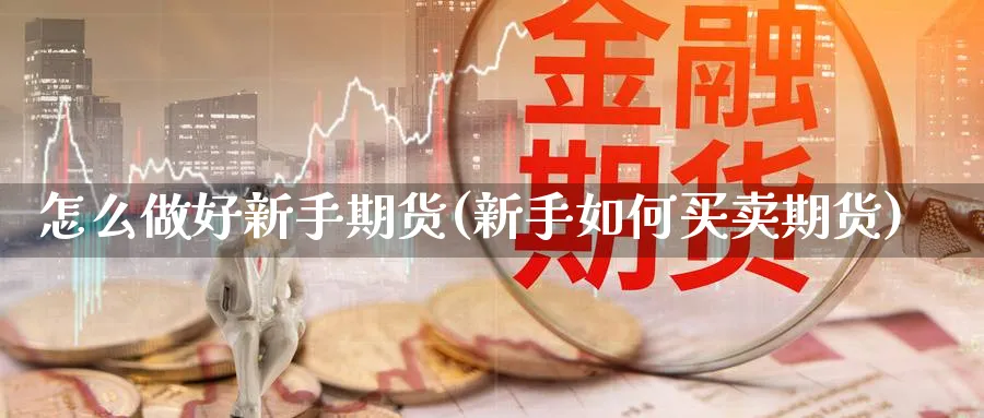 怎么做好新手期货(新手如何买卖期货)_https://www.ccsxhkc.com_金融监管_第1张