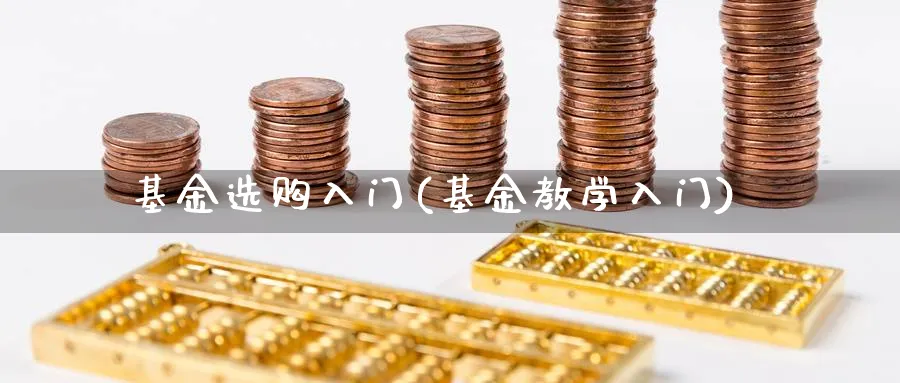 基金选购入门(基金教学入门)_https://www.ccsxhkc.com_金融监管_第1张