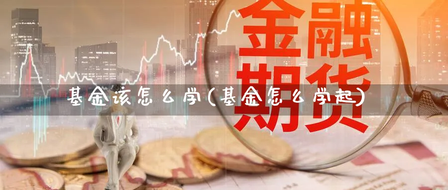 基金该怎么学(基金怎么学起)_https://www.ccsxhkc.com_贸易顺差_第1张