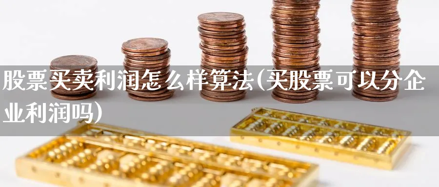 股票买卖利润怎么样算法(买股票可以分企业利润吗)_https://www.ccsxhkc.com_金融监管_第1张