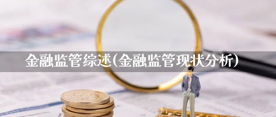 金融监管综述(金融监管现状分析)_https://www.ccsxhkc.com_金融监管_第1张