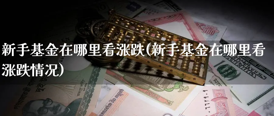 新手基金在哪里看涨跌(新手基金在哪里看涨跌情况)_https://www.ccsxhkc.com_商业模式_第1张