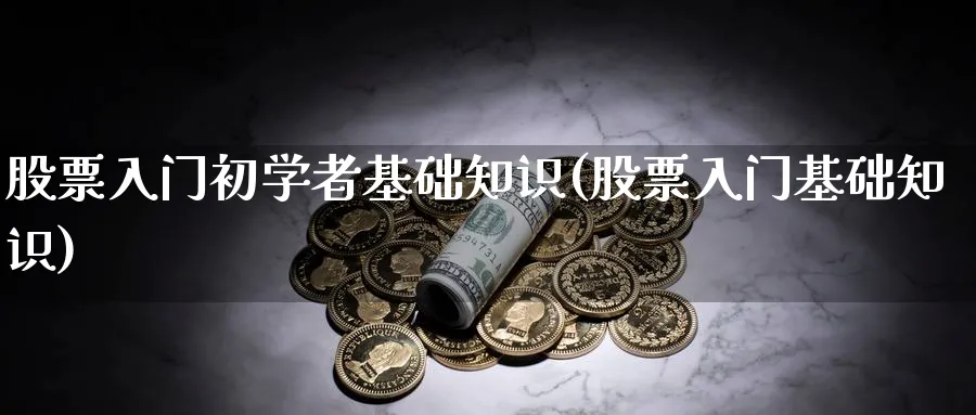 股票入门初学者基础知识(股票入门基础知识)_https://www.ccsxhkc.com_商业模式_第1张