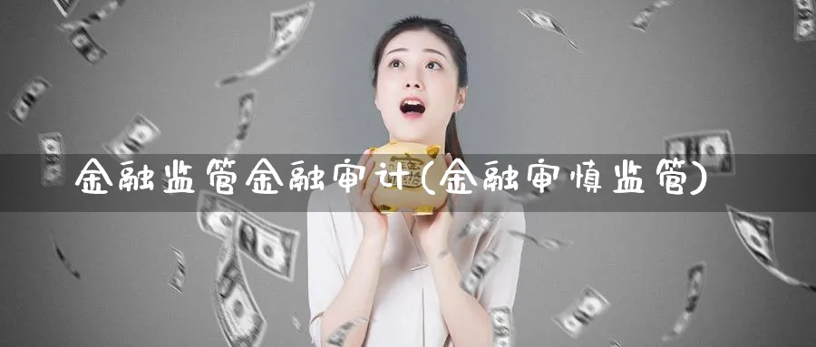 金融监管金融审计(金融审慎监管)_https://www.ccsxhkc.com_金融监管_第1张