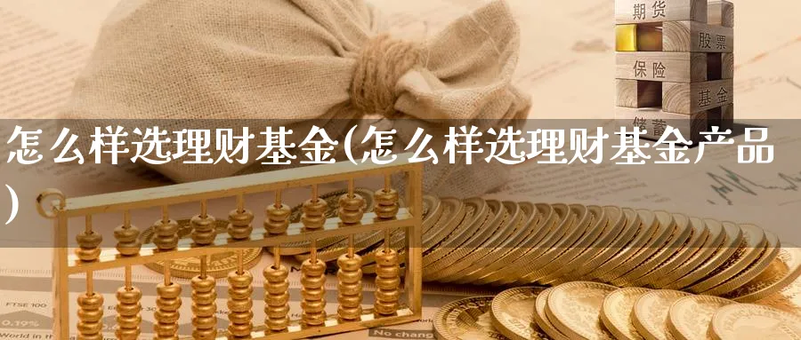 怎么样选理财基金(怎么样选理财基金产品)_https://www.ccsxhkc.com_科技投资_第1张