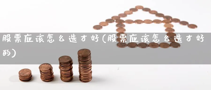 股票应该怎么选才好(股票应该怎么选才好的)_https://www.ccsxhkc.com_商业模式_第1张