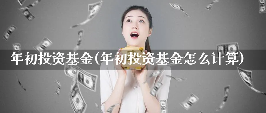 年初投资基金(年初投资基金怎么计算)_https://www.ccsxhkc.com_财经资讯_第1张