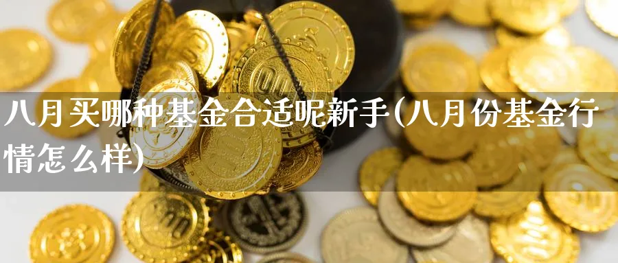 八月买哪种基金合适呢新手(八月份基金行情怎么样)_https://www.ccsxhkc.com_商业模式_第1张