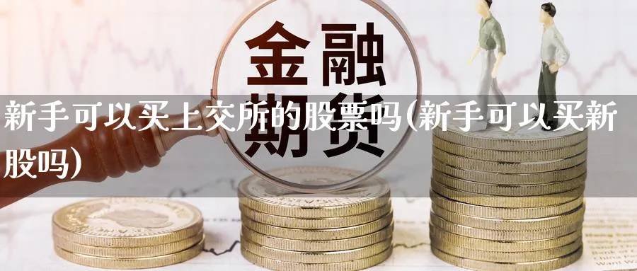 新手可以买上交所的股票吗(新手可以买新股吗)_https://www.ccsxhkc.com_金融监管_第1张