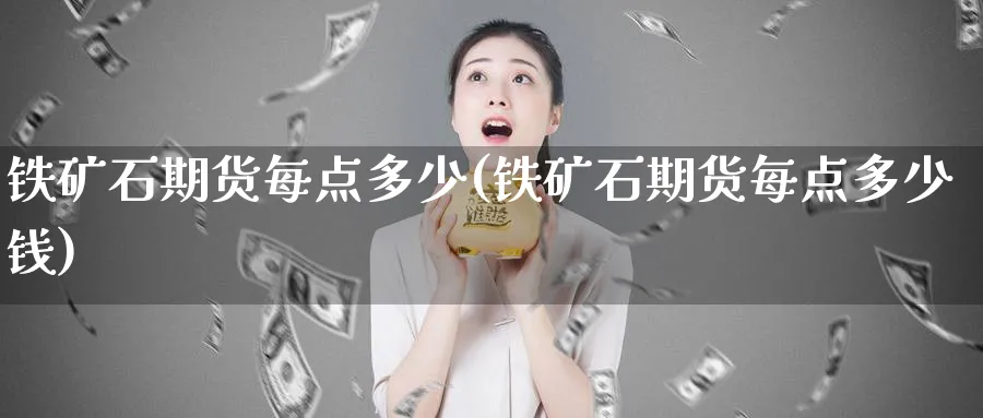 铁矿石期货每点多少(铁矿石期货每点多少钱)_https://www.ccsxhkc.com_贸易平衡_第1张