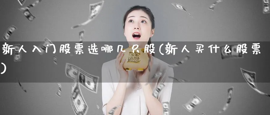 新人入门股票选哪几只股(新人买什么股票)_https://www.ccsxhkc.com_财经资讯_第1张