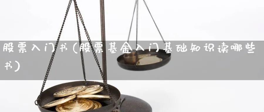 股票入门书(股票基金入门基础知识读哪些书)_https://www.ccsxhkc.com_贸易顺差_第1张